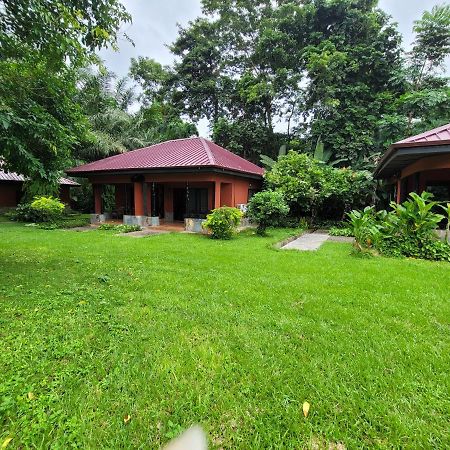 Big Foot Safari Lodge Wli Afegame Buitenkant foto